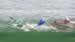 Production Art-Film-Dolphins